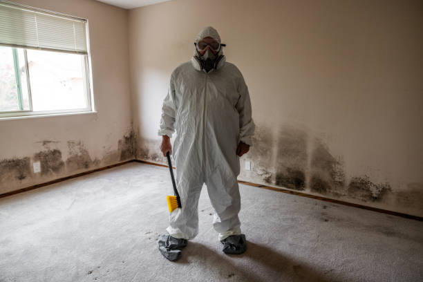 Best Crawl Space Mold Removal  in Pell City, AL